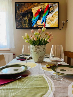 Apartament u Ani 1